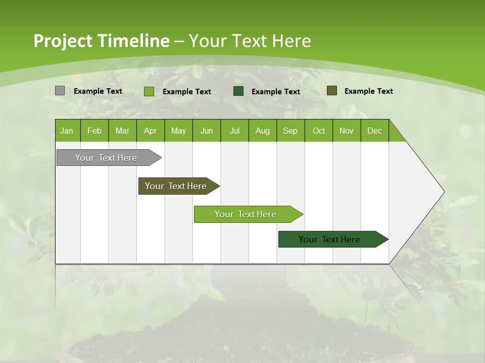 Chinese Small Japan PowerPoint Template