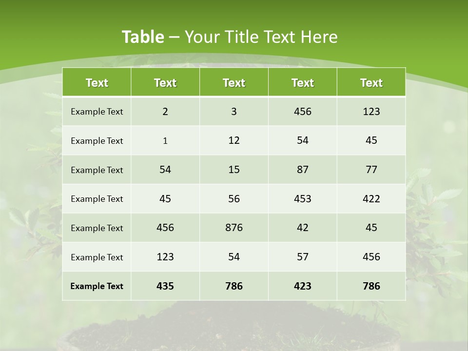 Chinese Small Japan PowerPoint Template