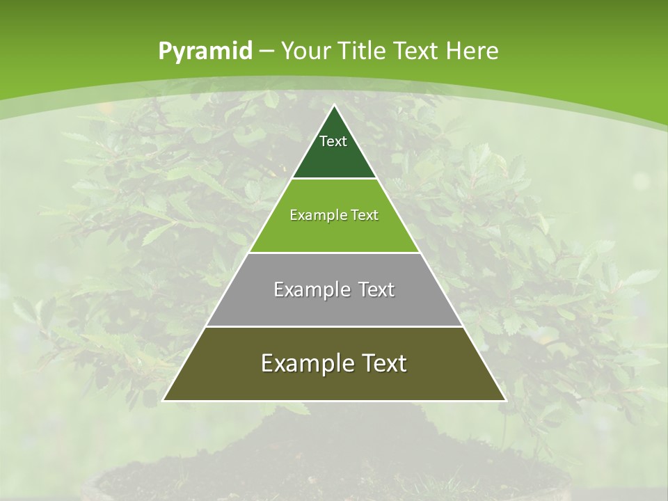 Chinese Small Japan PowerPoint Template