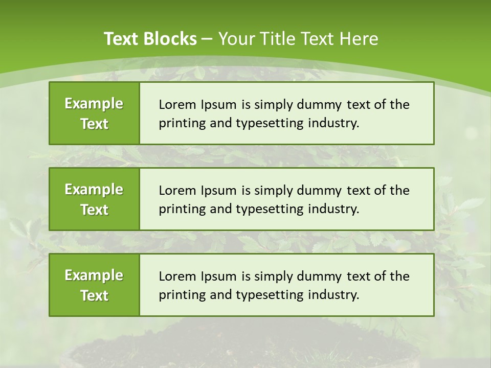 Chinese Small Japan PowerPoint Template