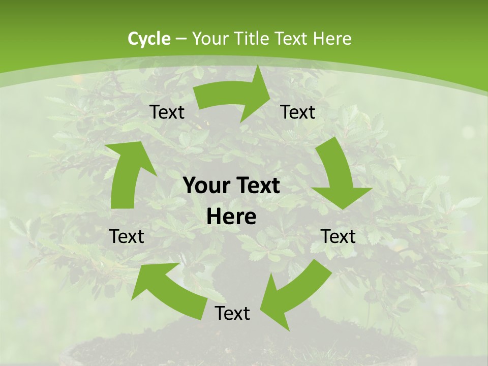 Chinese Small Japan PowerPoint Template