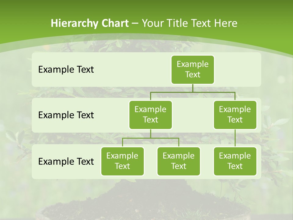 Chinese Small Japan PowerPoint Template