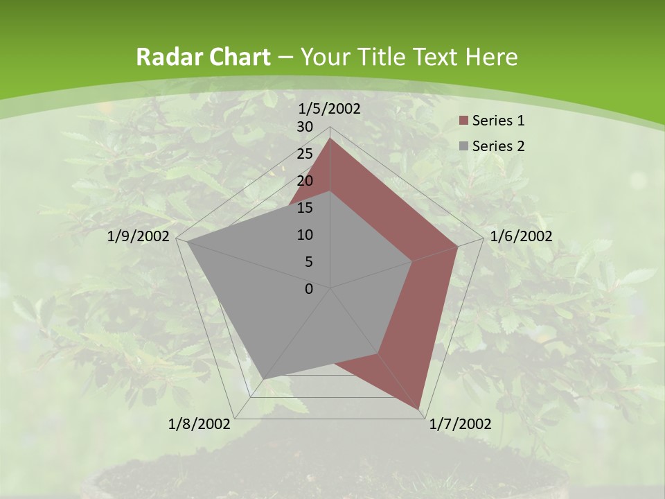 Chinese Small Japan PowerPoint Template