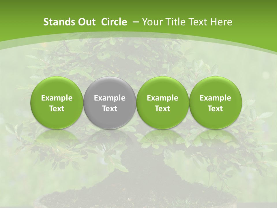 Chinese Small Japan PowerPoint Template