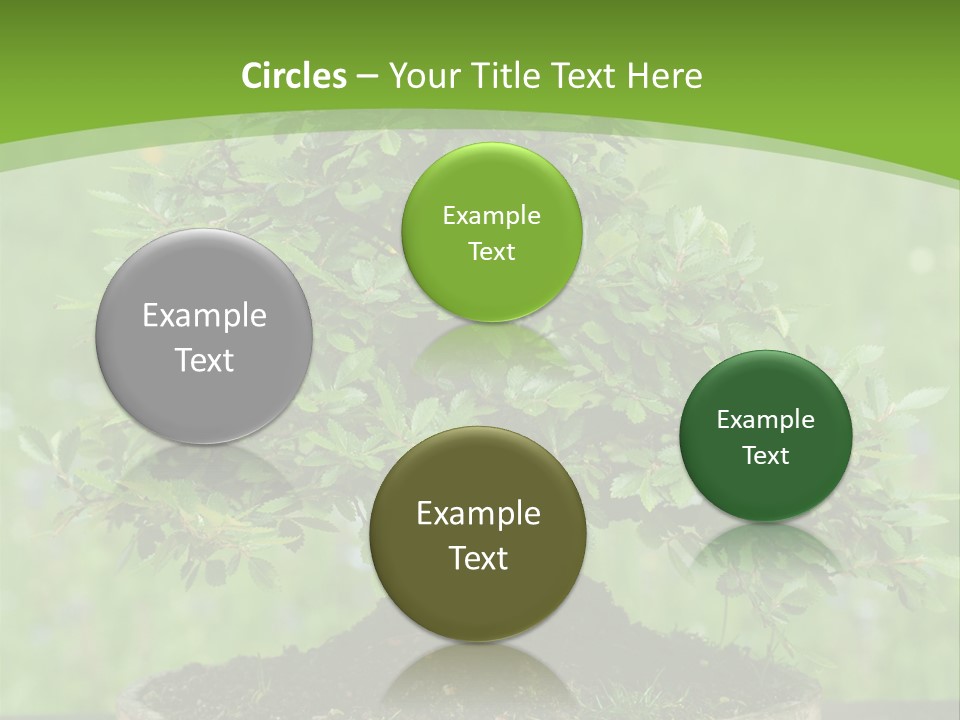 Chinese Small Japan PowerPoint Template