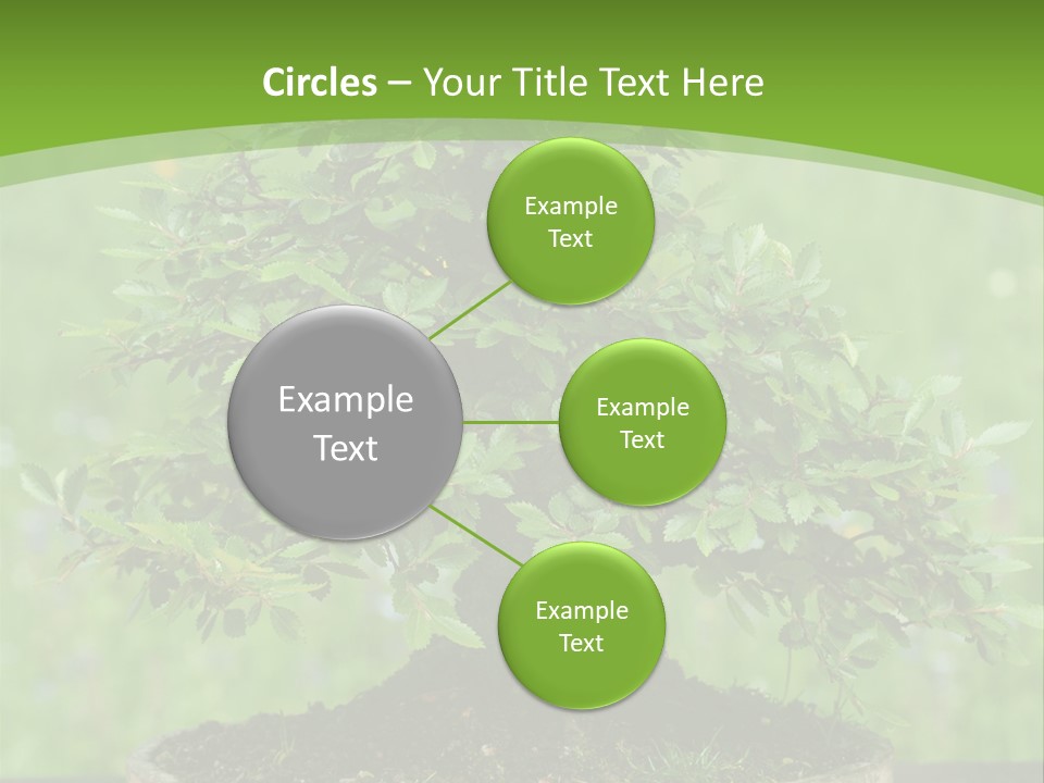 Chinese Small Japan PowerPoint Template