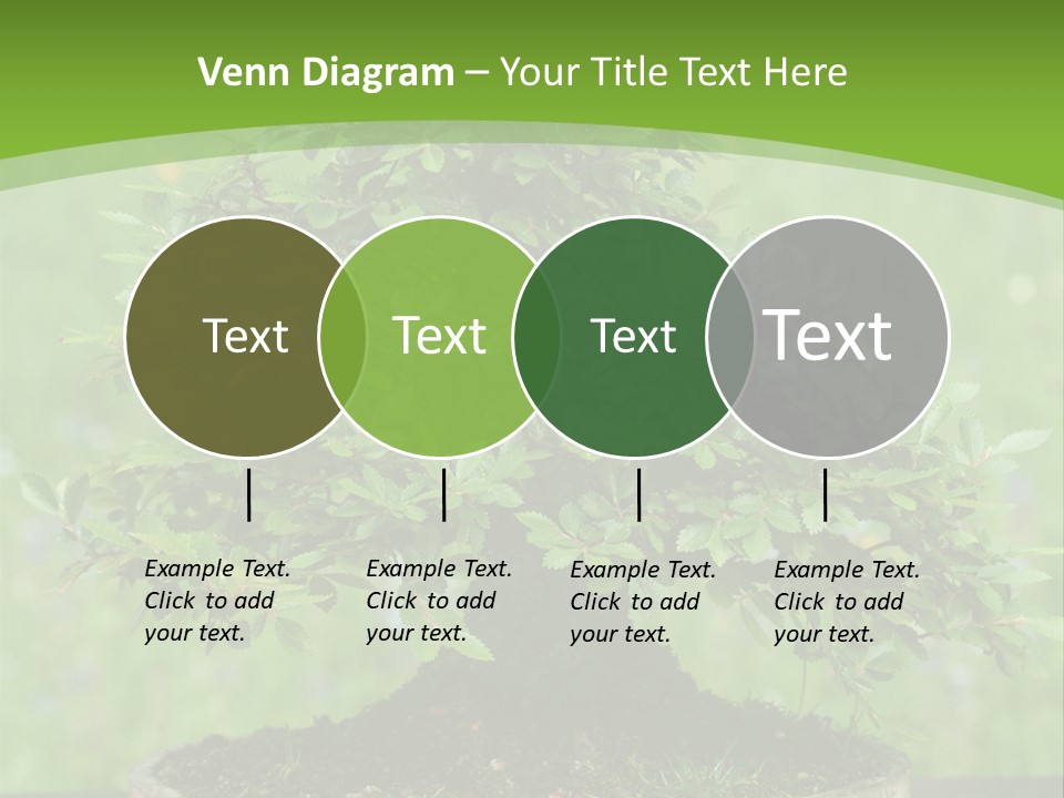 Chinese Small Japan PowerPoint Template