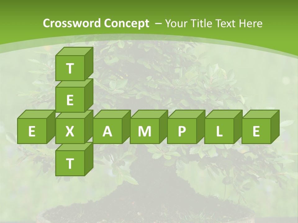 Chinese Small Japan PowerPoint Template