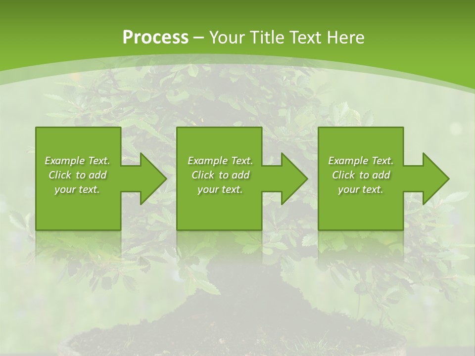 Chinese Small Japan PowerPoint Template