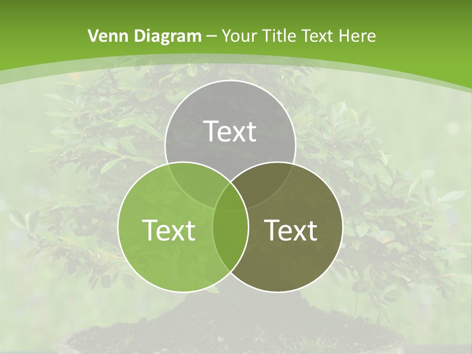 Chinese Small Japan PowerPoint Template