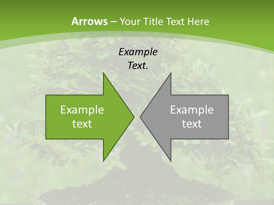 Chinese Small Japan PowerPoint Template