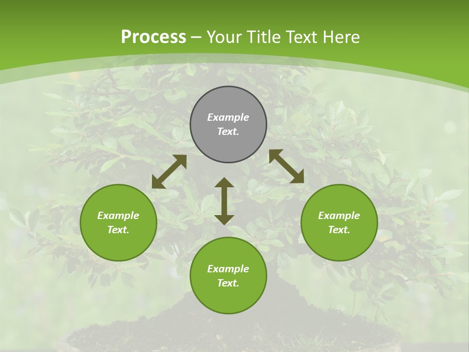 Chinese Small Japan PowerPoint Template