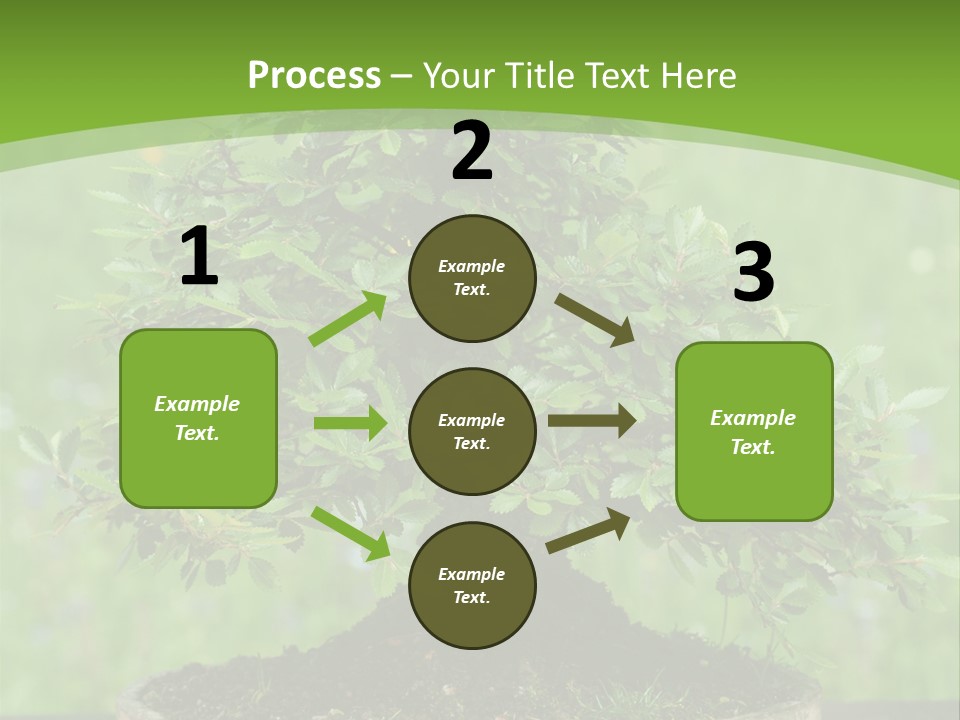 Chinese Small Japan PowerPoint Template