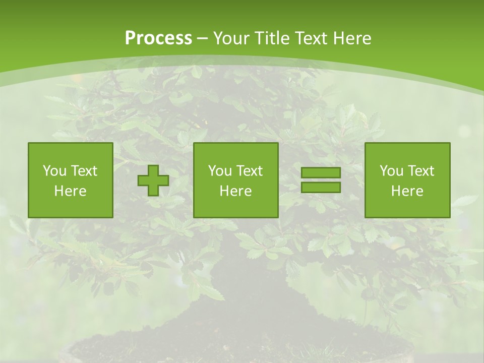 Chinese Small Japan PowerPoint Template