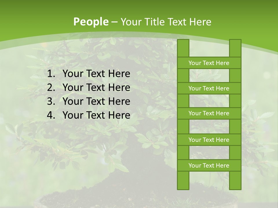 Chinese Small Japan PowerPoint Template