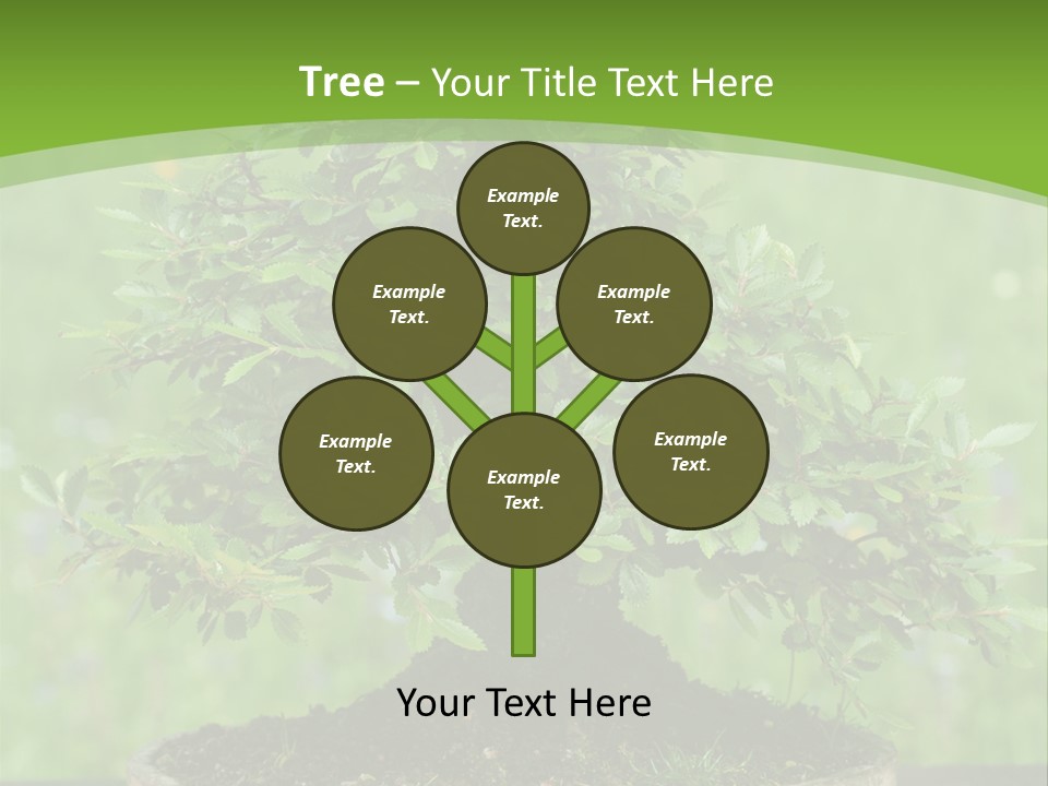 Chinese Small Japan PowerPoint Template