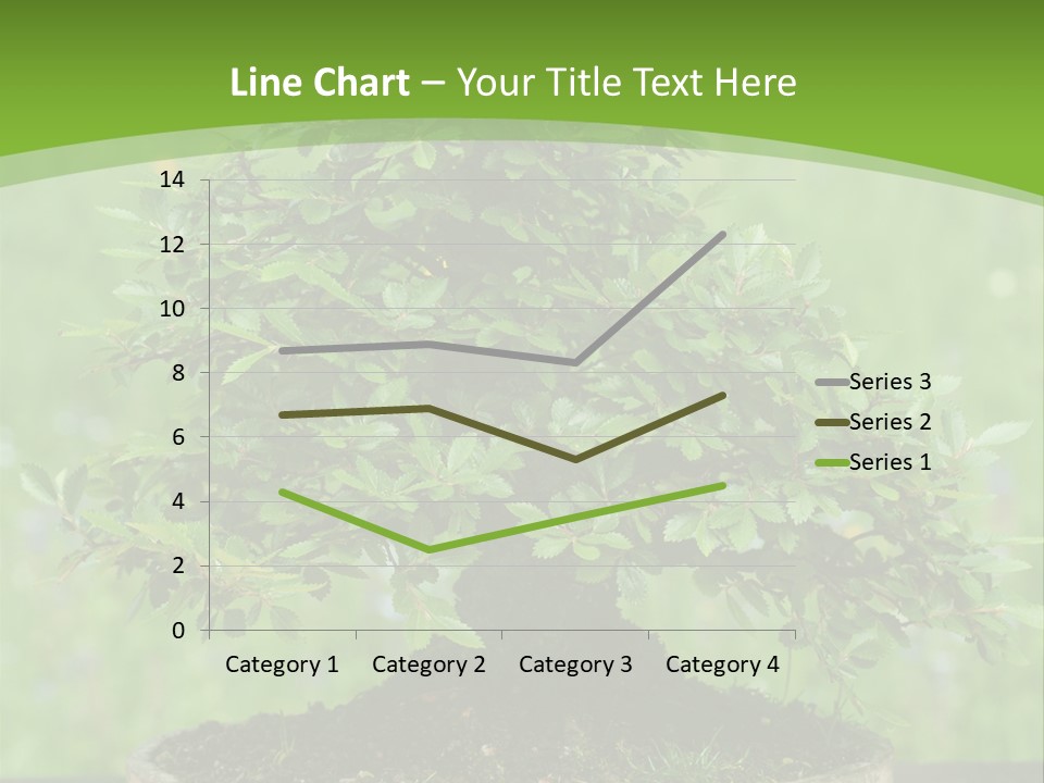 Chinese Small Japan PowerPoint Template