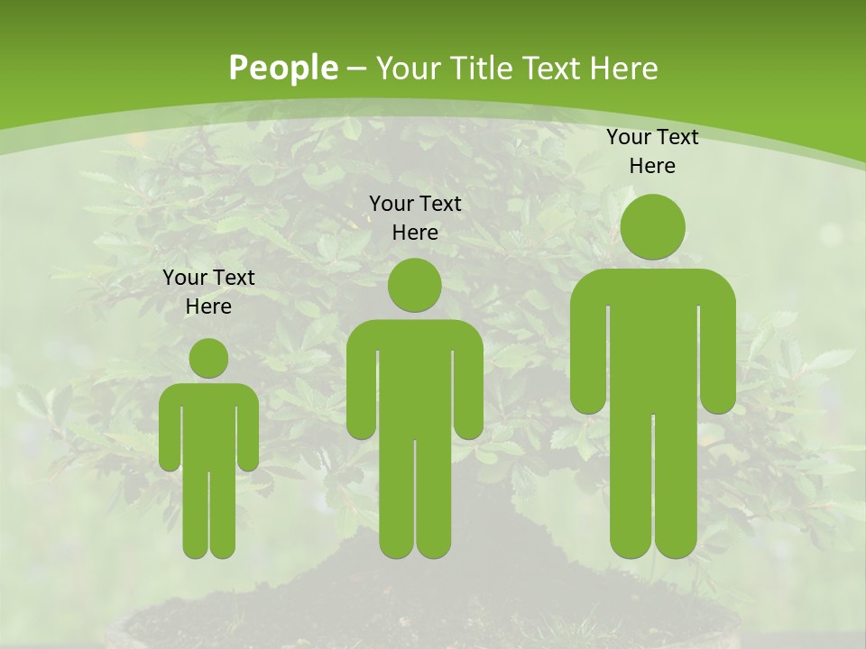 Chinese Small Japan PowerPoint Template