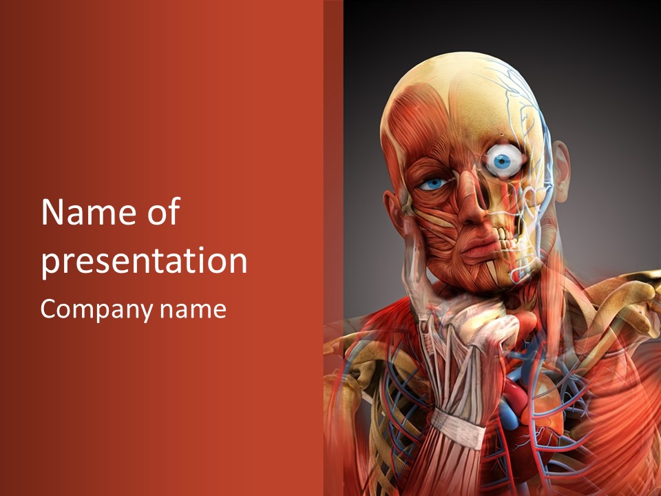Biology System Anatomy PowerPoint Template