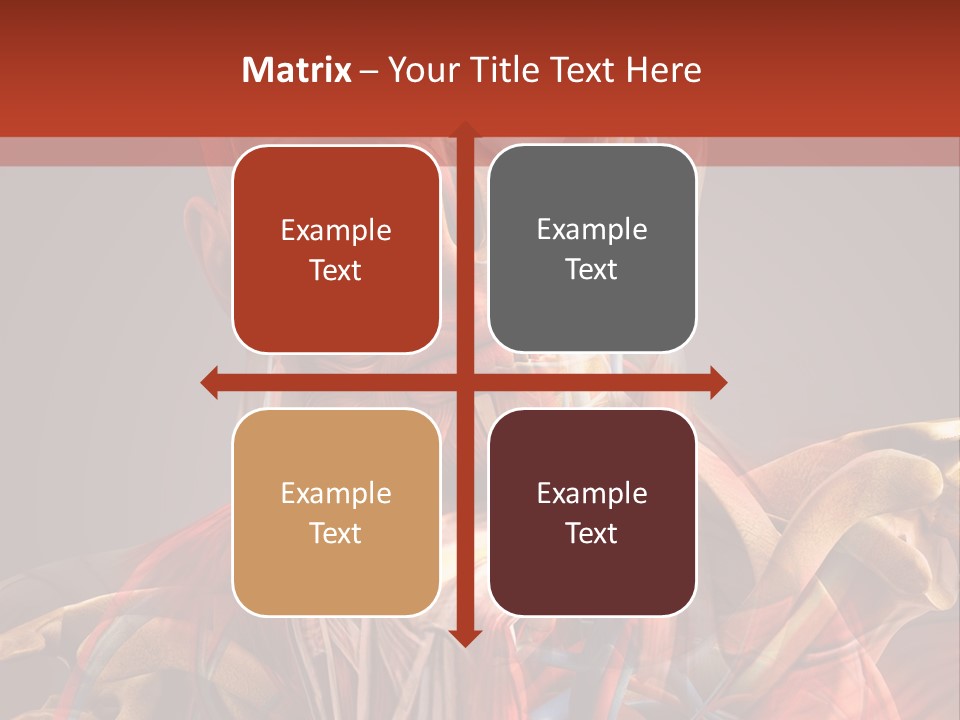Biology System Anatomy PowerPoint Template