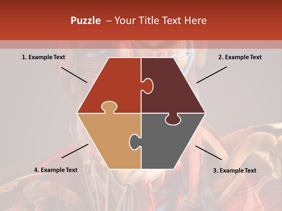 Biology System Anatomy PowerPoint Template
