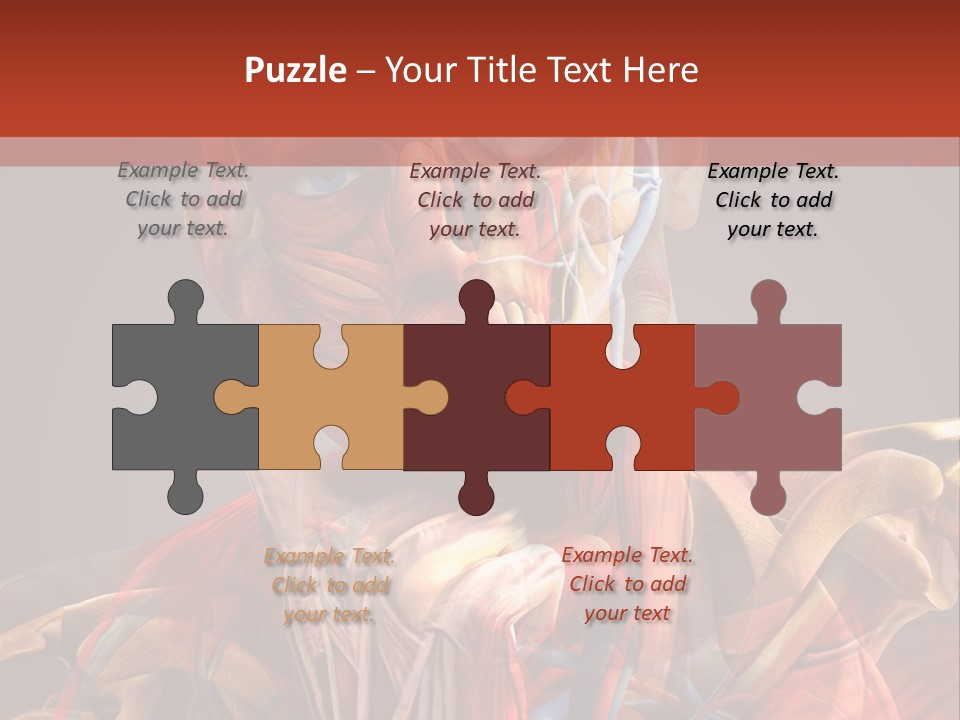 Biology System Anatomy PowerPoint Template