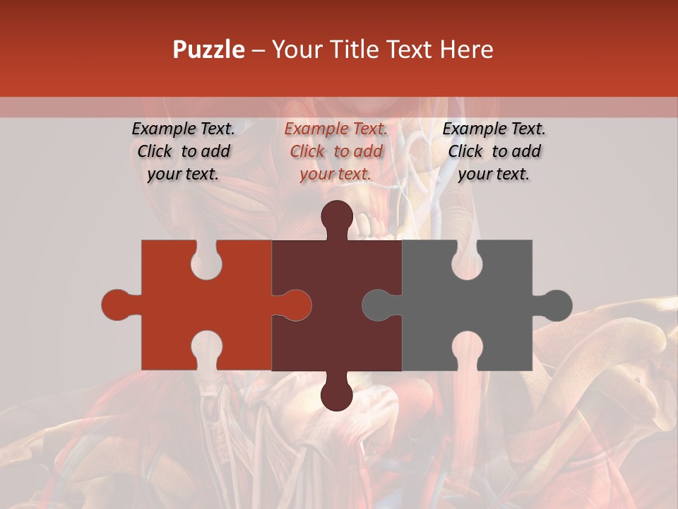 Biology System Anatomy PowerPoint Template