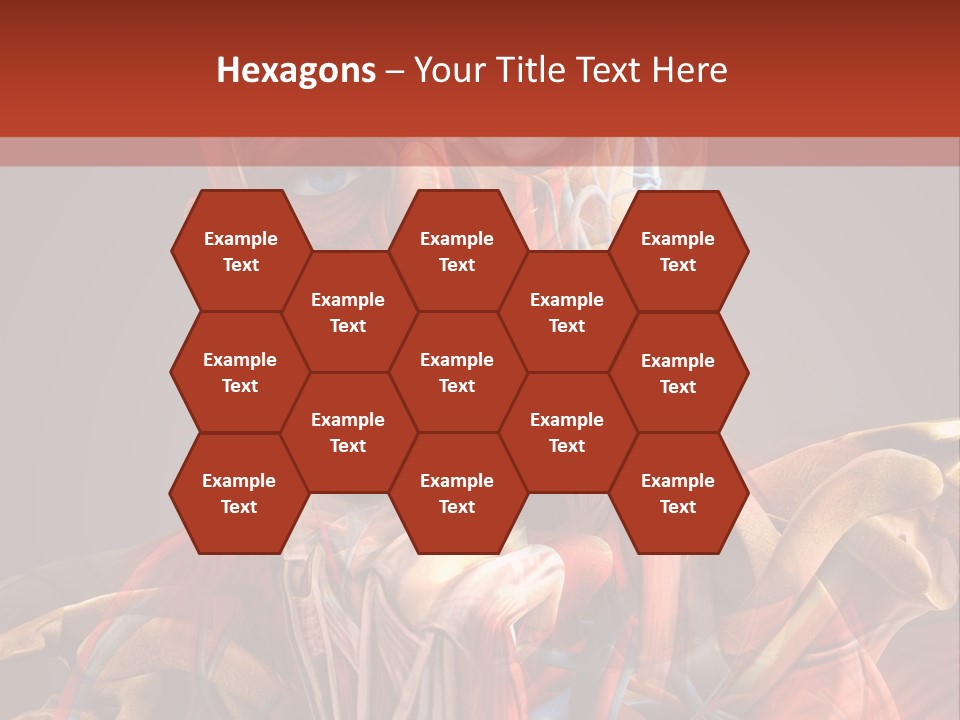 Biology System Anatomy PowerPoint Template