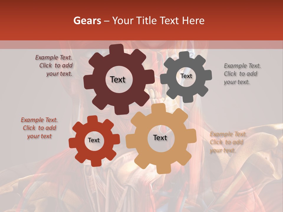 Biology System Anatomy PowerPoint Template