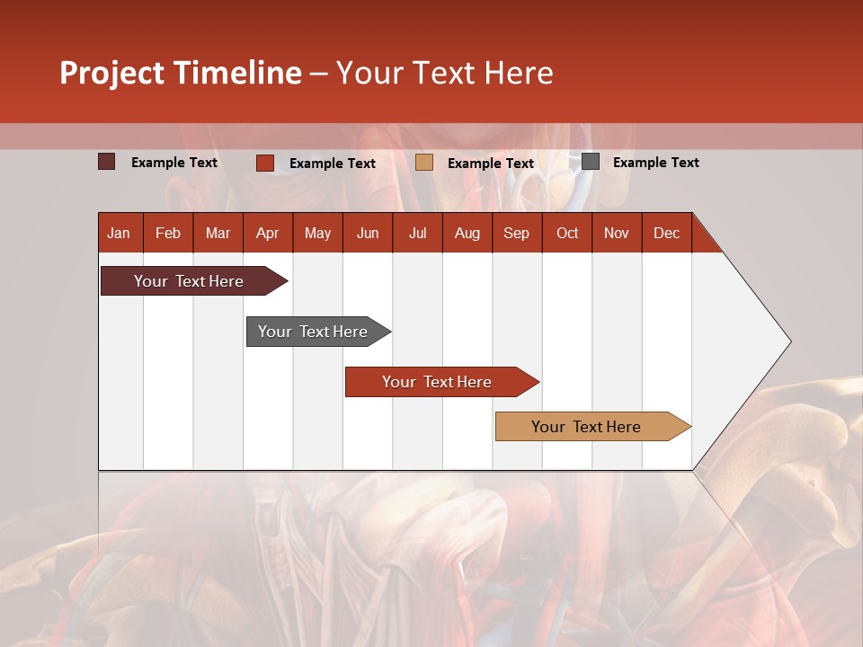Biology System Anatomy PowerPoint Template