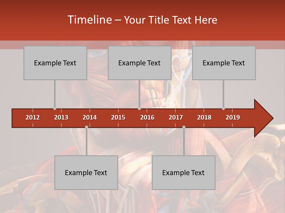 Biology System Anatomy PowerPoint Template