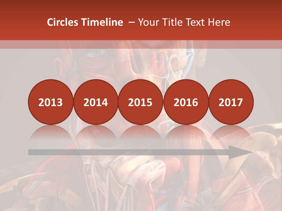 Biology System Anatomy PowerPoint Template