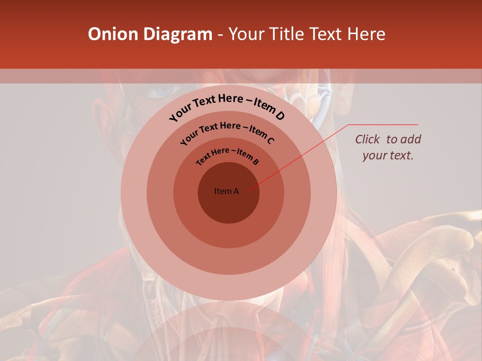 Biology System Anatomy PowerPoint Template