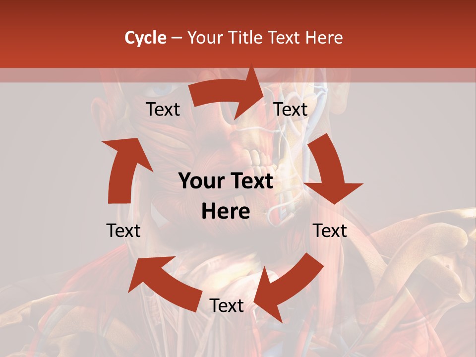 Biology System Anatomy PowerPoint Template