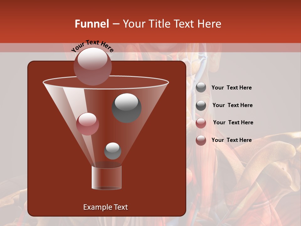 Biology System Anatomy PowerPoint Template