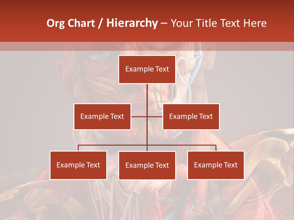 Biology System Anatomy PowerPoint Template