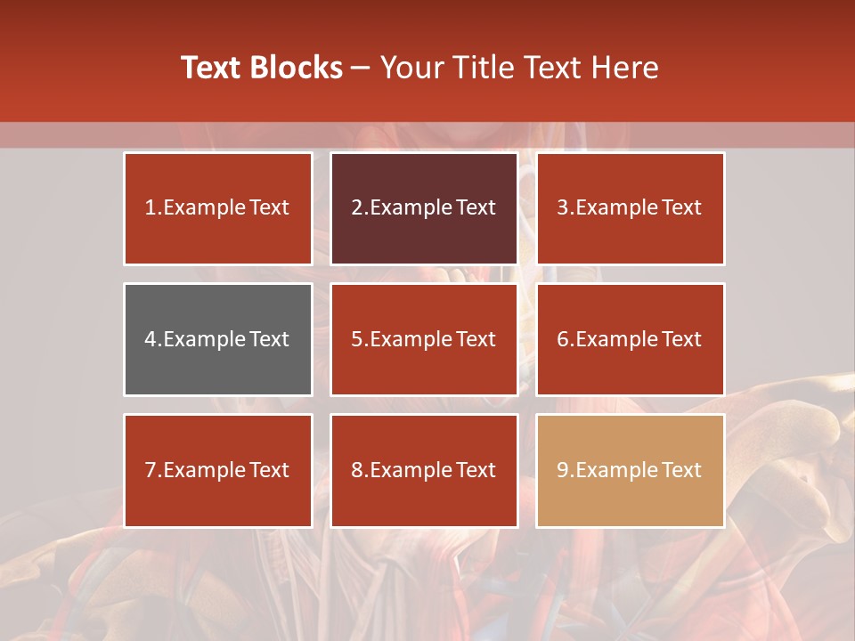 Biology System Anatomy PowerPoint Template