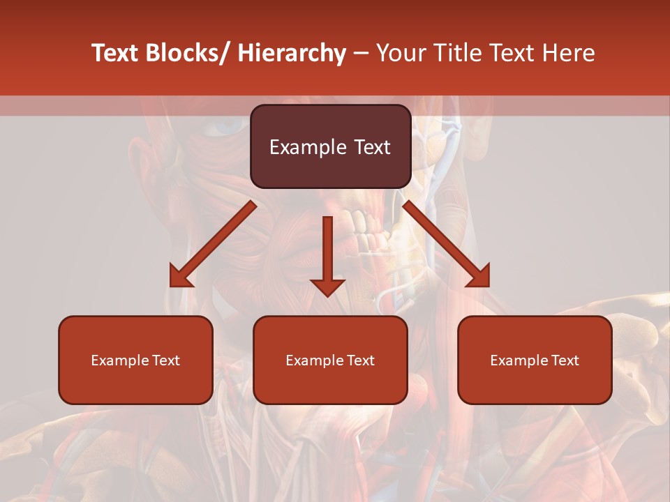 Biology System Anatomy PowerPoint Template
