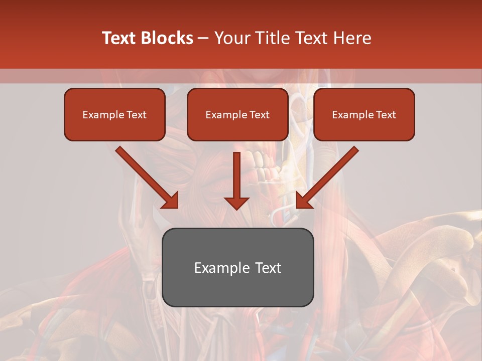 Biology System Anatomy PowerPoint Template