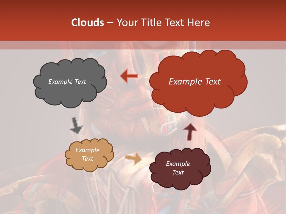 Biology System Anatomy PowerPoint Template
