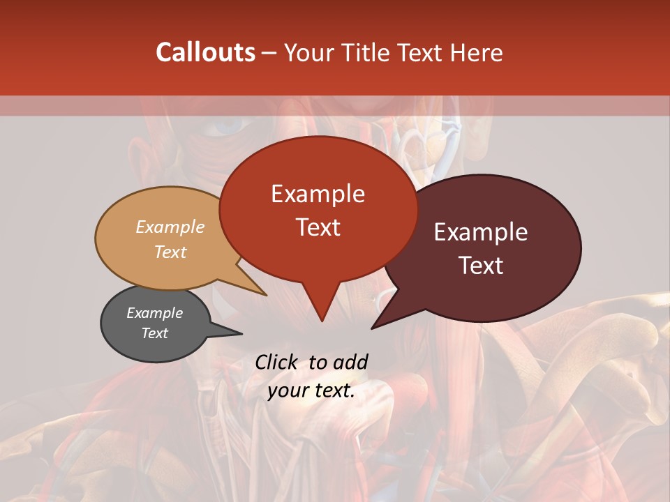Biology System Anatomy PowerPoint Template