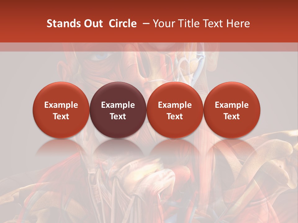 Biology System Anatomy PowerPoint Template