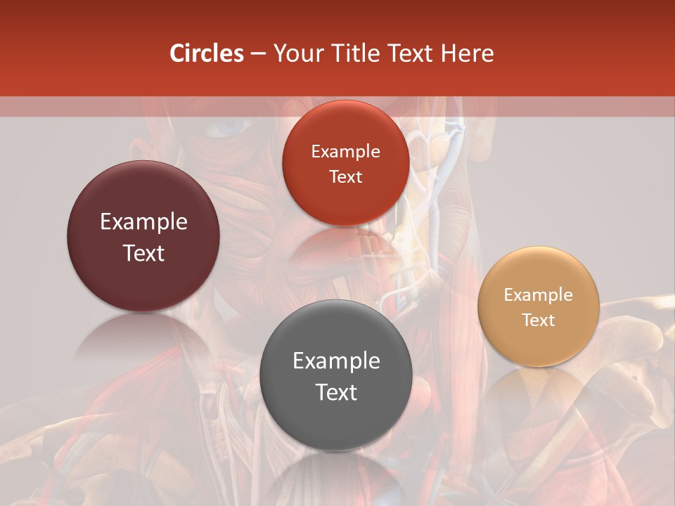 Biology System Anatomy PowerPoint Template