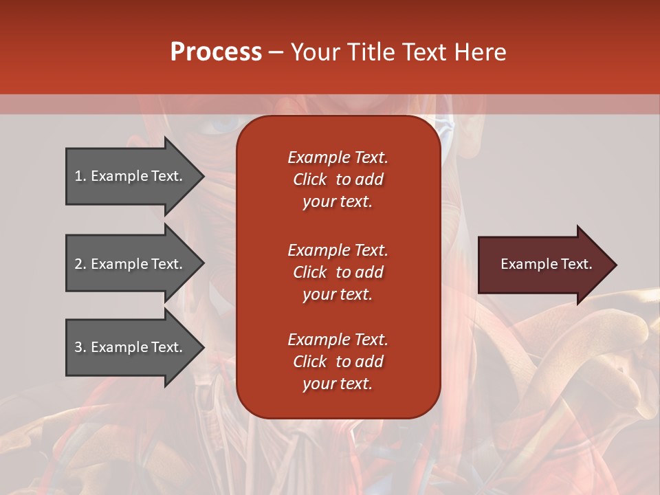Biology System Anatomy PowerPoint Template