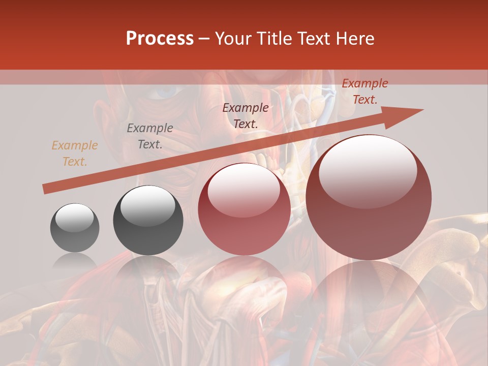 Biology System Anatomy PowerPoint Template