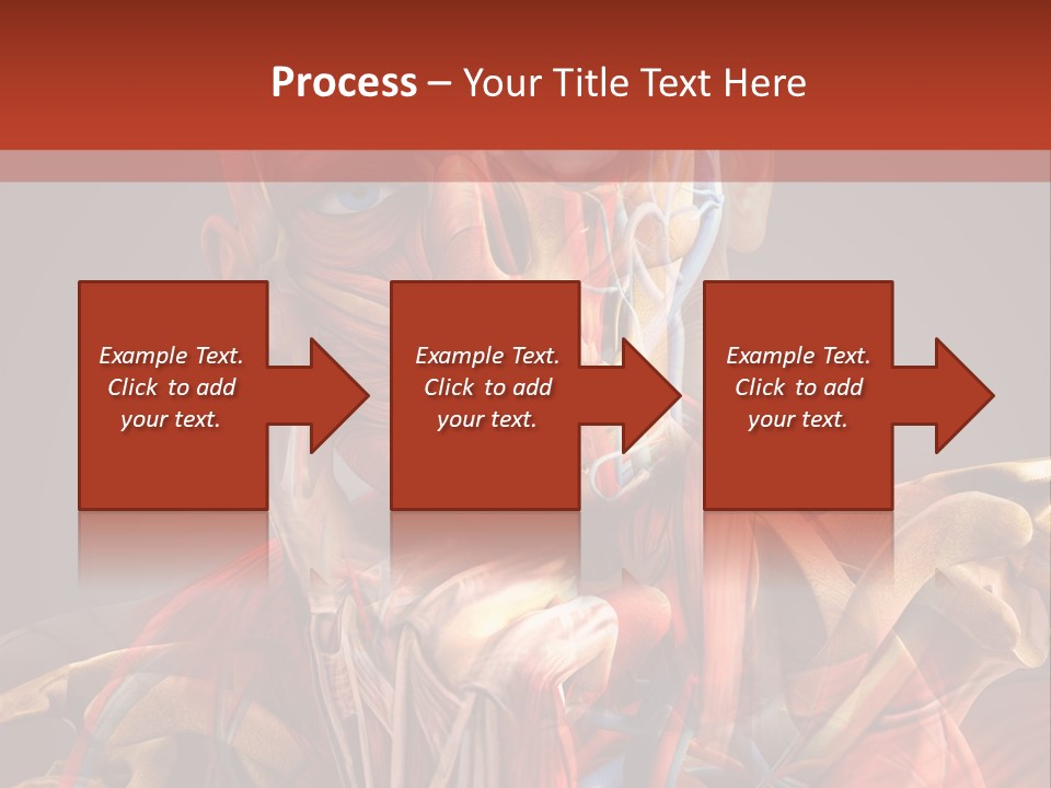 Biology System Anatomy PowerPoint Template