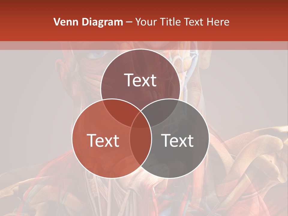 Biology System Anatomy PowerPoint Template