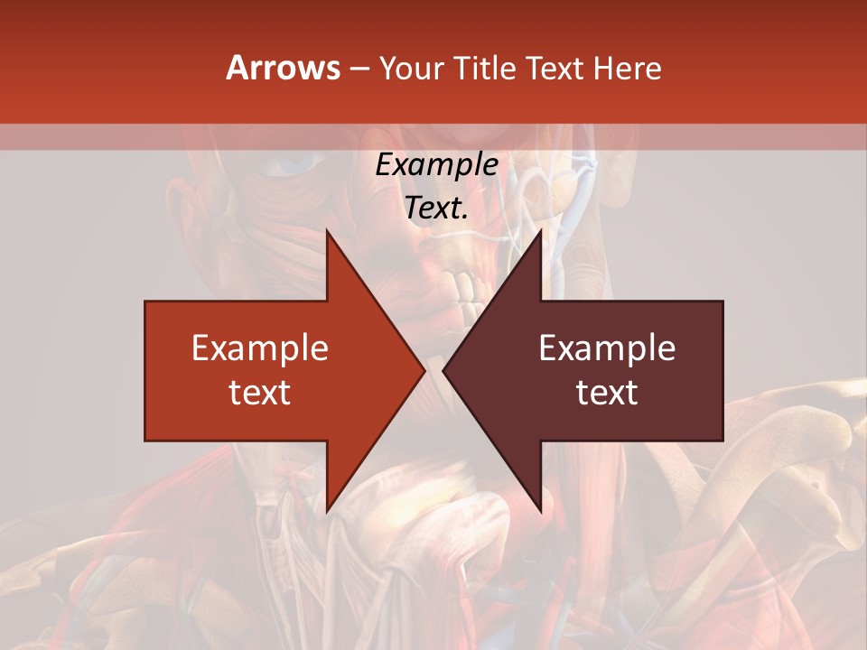 Biology System Anatomy PowerPoint Template