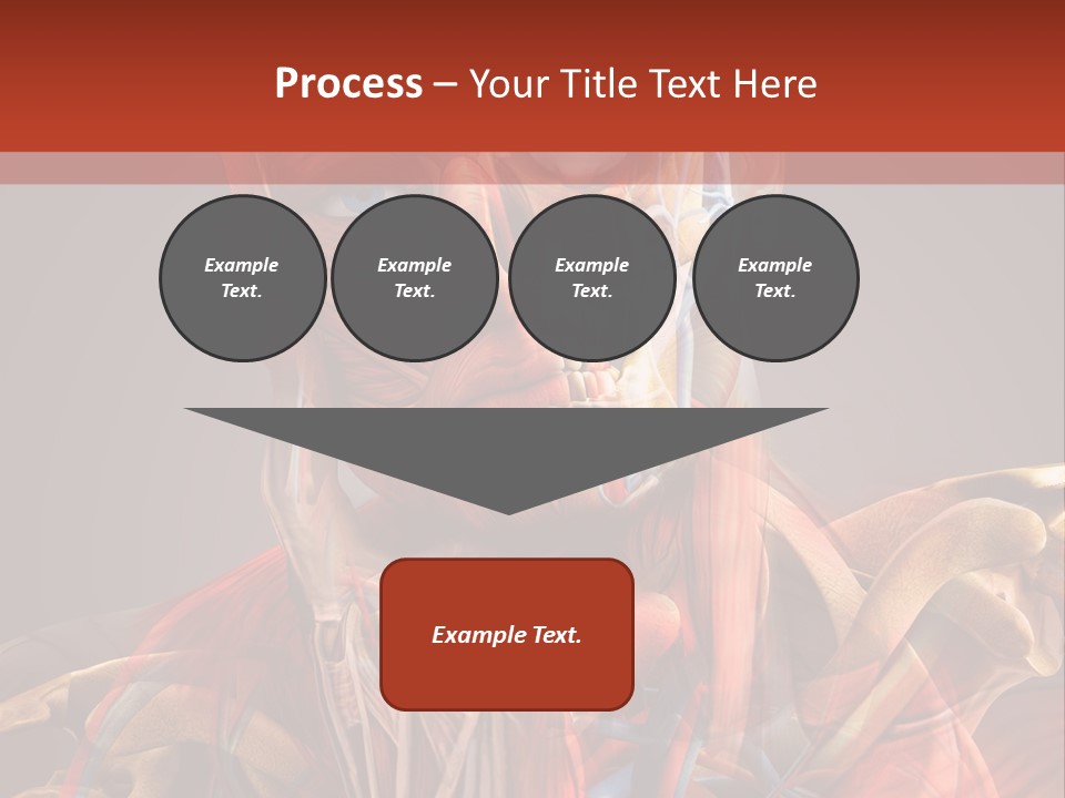Biology System Anatomy PowerPoint Template