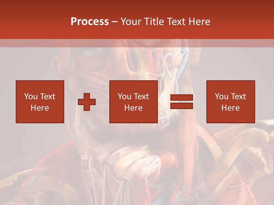 Biology System Anatomy PowerPoint Template